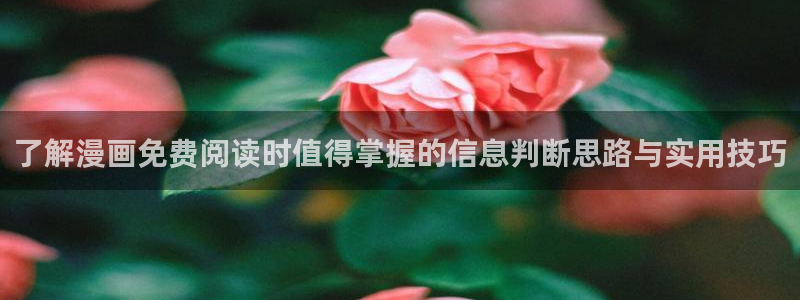 日漫推荐:了解漫画免费阅读时值得掌握的信息判断思路与实用技巧