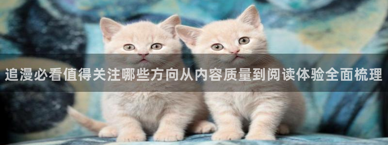 漫画连载:追漫必看值得关注哪些方向从内容质量到阅读体验全面梳理