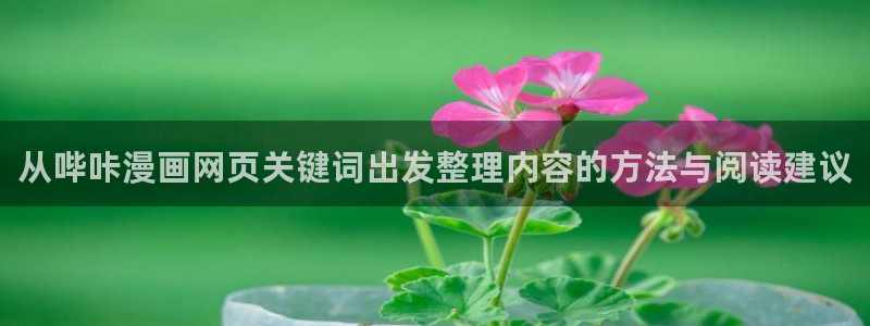 免费国漫：从哔咔漫画网页关键词出发整理内容的方法与阅读建议